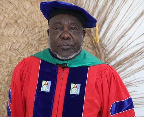 Magaji Urges INEC to Allows Diaporans to Vote