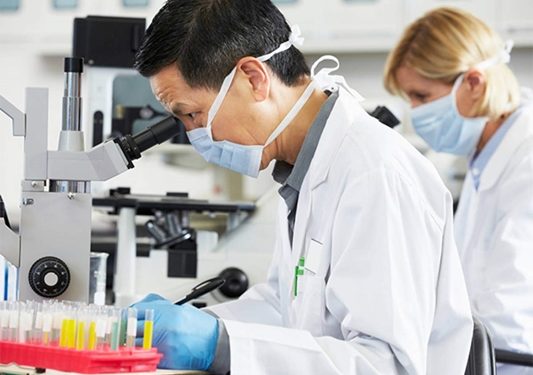 Scientists Identify New Virus in China