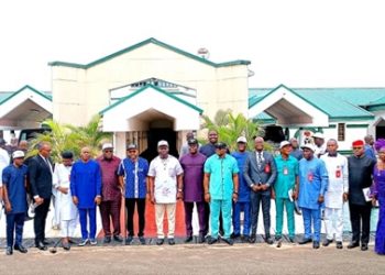 Soludo Inaugurates Local Government Committee