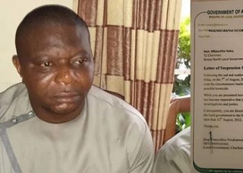 Soludo Suspends Council Chairman