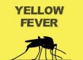 14 People Die of Yellow Fever