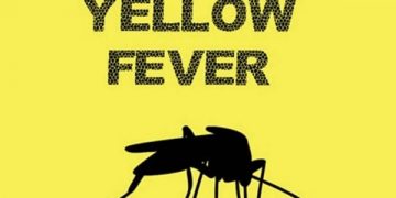 14 People Die of Yellow Fever