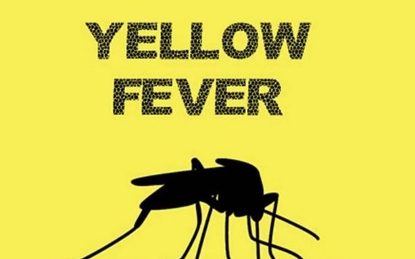14 People Die of Yellow Fever