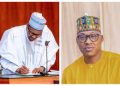 Buhari Appoints New Director of NSPMC