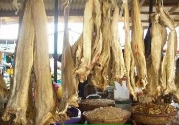 Inflation Hits Price of Stock fish in Amakohia Market