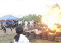 NDLEA -2,904 Offenders Jailed, 1.8 tons Cocaine Burnt