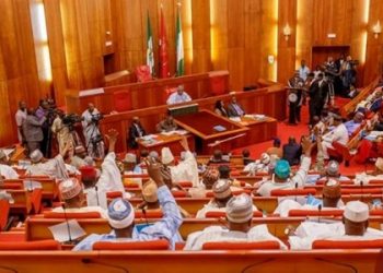Senate Calls for Speedy Trial of Oil Thieves