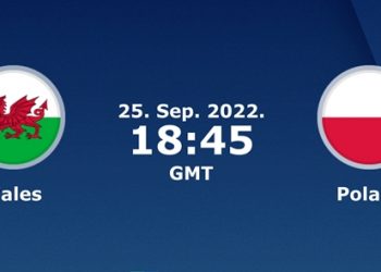 Wales Lose to Poland