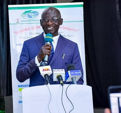 NEPC-Non-oil Export Contributes $2.593B to Nigeria Economy in Six Months