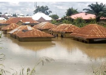 NMA Urges Federal Government to Curb Flooding
