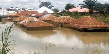 NMA Urges Federal Government to Curb Flooding