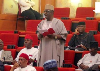 Senate Launches Investigation into Public Works Programme