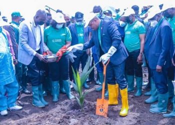 Akwa Ibom Set to Produce 2million Coconut Daily
