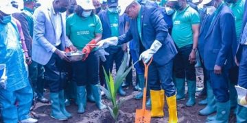 Akwa Ibom Set to Produce 2million Coconut Daily