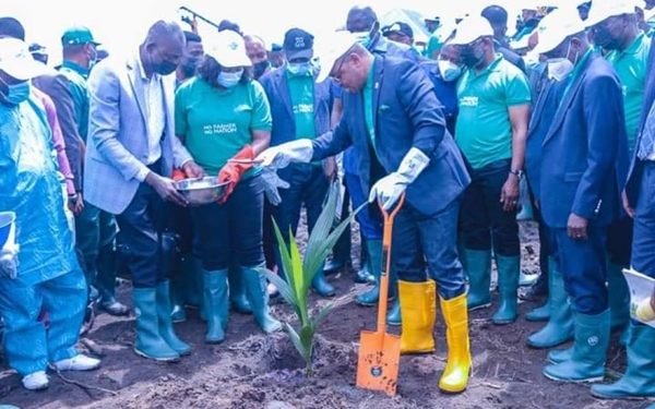 Akwa Ibom Set to Produce 2million Coconut Daily