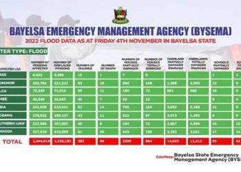 Bayelsa Records 96 Deaths Over flood