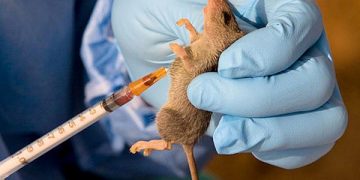 Doctors Sensitize Ebonyi Residents on Lassa Fever Prevention