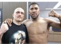 Joshua Gets Title Chance