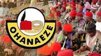 Ohaneze Ndigbo Berates EFCC Chairman