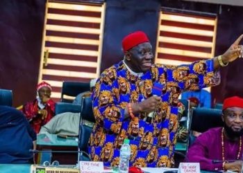 Ohaneze Urge Igbos to Participate in 2023 Elections