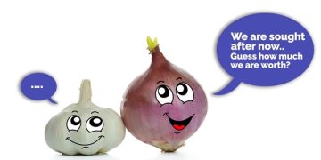 Price of Onion Increases