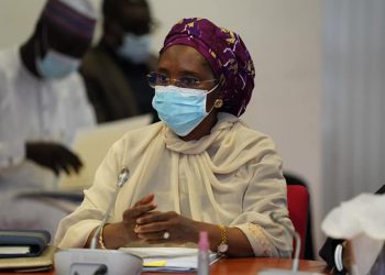 Reps Summon Finance Minister Over Budget Allocation