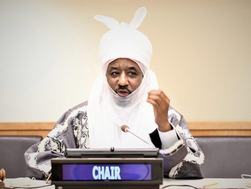 Sanusi Calls on Nigerian Doctors to Fix the Country