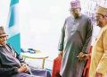 Buhari Assures of Achieving 30 Gigawatts of Energy