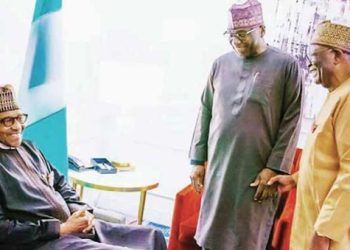 Buhari Assures of Achieving 30 Gigawatts of Energy