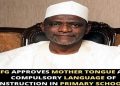 Nigerian’s React to FEC’s Approval of National Language Policy in Basic Schools