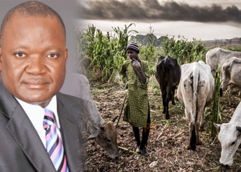 Ortom Promises To Resist Fulani Herders Attack