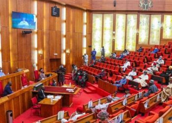 Senate Postpones Passage of 2023 Budget