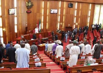 Senate Raises Concern Over Cash Withdrawal Limit