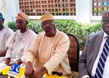 Afenifere Faults Plan to Postpone Elections