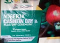 Cashew Nuts Export Generate 250m dollars in 2022