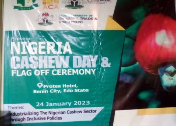 Cashew Nuts Export Generate 250m dollars in 2022