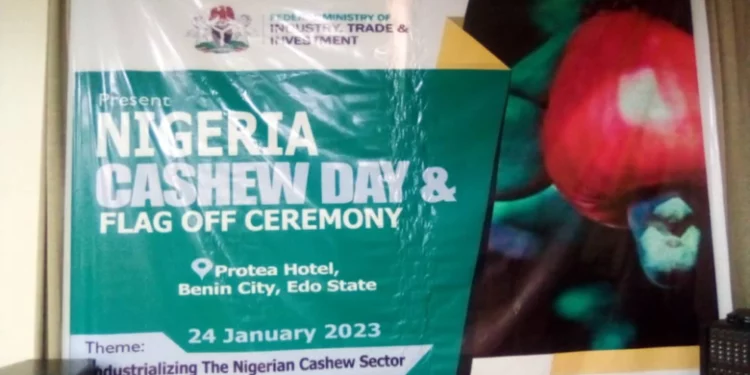 Cashew Nuts Export Generate 250m dollars in 2022