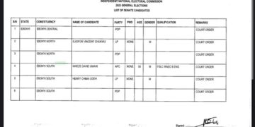 INEC De-lists PDP Candidates in Ebonyi