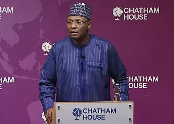 INEC Reveals Plan for Diaspora Voting