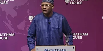INEC Reveals Plan for Diaspora Voting