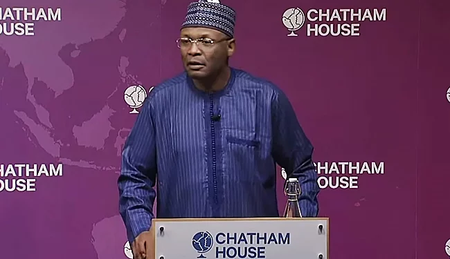 INEC Reveals Plan for Diaspora Voting