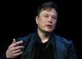 Musk Loses $165 billion of Personal Fortune