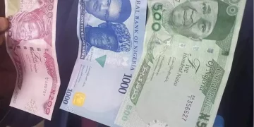 Nigerians Calls for Extension of Deadline for Withdrawal of New Naira Notes