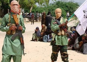 Somalia Military Capture Town from al-shabab