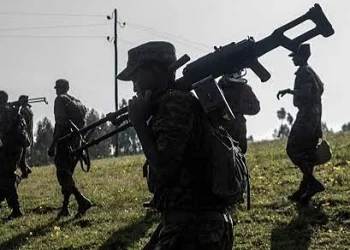 Tigrayan Rebels Hand Over Weapons