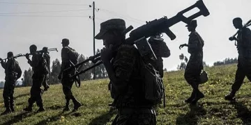 Tigrayan Rebels Hand Over Weapons