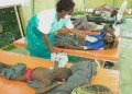 Cholera outbreak in Abia claim lives