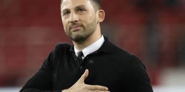 Former Schalke Boss Becomes Belgium Head Coach