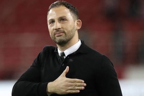 Former Schalke Boss Becomes Belgium Head Coach