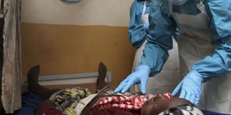 Lassa Fever Claims 85 Lives in 2023